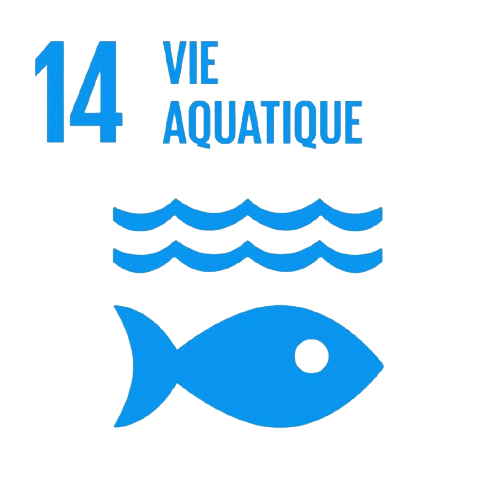 Projet Fishing Day